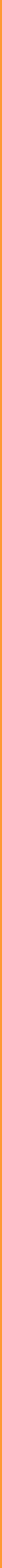 Linea arancio